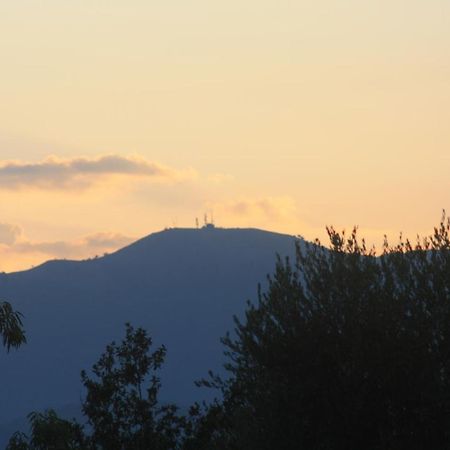 La Quercia Agriturismo إمبيريا المظهر الخارجي الصورة